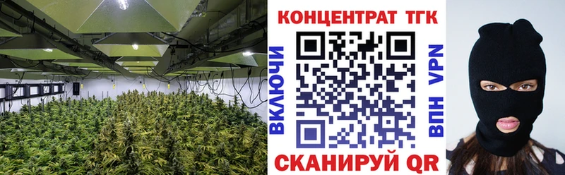 ТГК Wax  shop клад  Калач 